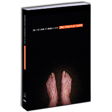 CADERNO SESC_VIDEOBRASIL 9 <br>Geografias em movimento